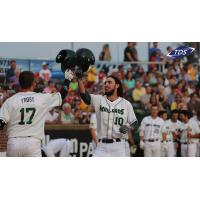 Madison Mallards Celebrate