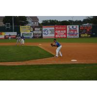 Sioux Falls Canaries in Action