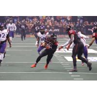 Orlando Predators WR Brandon Thompkins vs. the New Orleans VooDoo