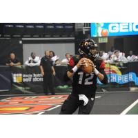 Orlando Predators QB Randy Hippeard