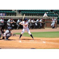 Conner Goedert of the Greeneville Astros