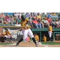 Madison Mallards Batting