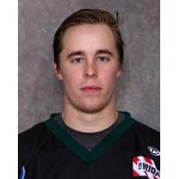 Quad City Mallards Forward Logan Nelson