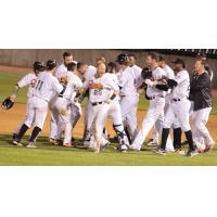 Long Island Ducks Celebrate 