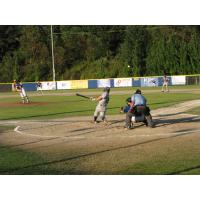 Lane Lacrone Bats for the Kelowna Falcons