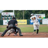 Connor Donovan Bats for the Green Bay Bullfrogs