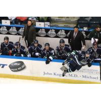 Florida Everblades Bench