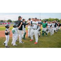 Green Bay Bullfrogs Celebrate