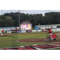 David Popkins at Bat for the Washington Wild Things