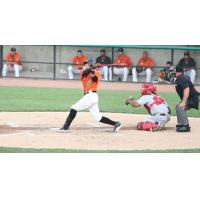 Reegie Corona of the Long Island Ducks