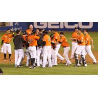 Long Island Ducks Celebrate Walk-Off Win