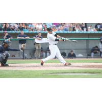 Dan Lyons of the Long Island Ducks