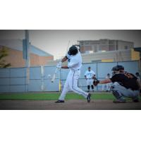 Mark Contreras Homers for the Rochester Honkers