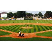 Green Bay Bullfrogs vs. La Crosse Loggers