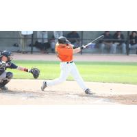 Lew Ford of the Long Island Ducks