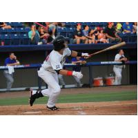 Brevard County Manatees Right Fielder Clint Coulter