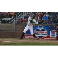 Madison Mallards at the Plate