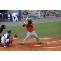 Hector Roa of the Greeneville Astros
