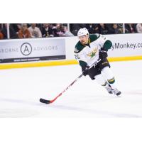 Texas Stars Defenseman Matt Mangene