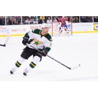 Texas Stars Forward Derek Hulak