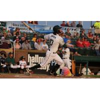 Anthony Gonsolin of the Madison Mallards