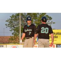 Rochester Honkers in Action