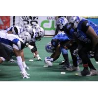 Richmond Raiders vs. Columbus Lions in PIFL Championship Game