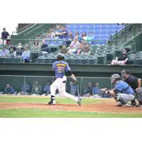 Brian Humphries of the Sioux Falls Canaries
