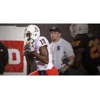 Wide Receiver Dan Buckner with the University of Arizona