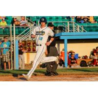 Bryce Adams of the Kalamazoo Growlers Crosses the Plate