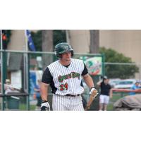 Robb Paller of the Green Bay Bullfrogs