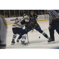 Bloomington Thunder Forward Mitchell Mattson