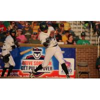 Madison Mallards at the Plate