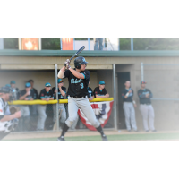 Matt Fiedler of the Rochester Honkers