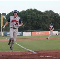 Acadiana Cane Cutters in Action
