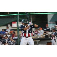 Green Bay Bullfrogs at the Plate