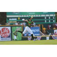 Madison Mallards in the Field