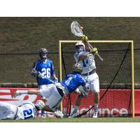 Charlotte Hounds vs. Florida Launch