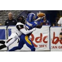 Tampa Bay Storm Wide Receiver Emery Sammons vs. the Orlando Predators