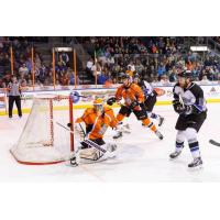 Missouri Mavericks Goaltender Josh Robinson