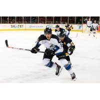 David de Kastrozza with the Idaho Steelheads