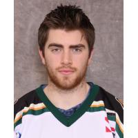 Quad City Mallards Forward Matt Neal