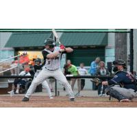 Green Bay Bullfrogs at the Plate