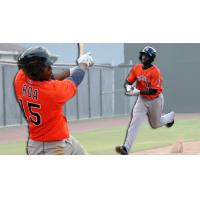 Hector Roa of the Greeneville Astros