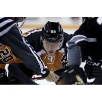 Danick Paquette with the Utah Grizzlies