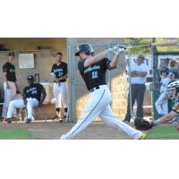 Catcher Slade Heggen of the Rochester Honkers