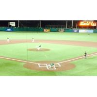 Green Bay Bullfrogs at Duluth Huskies