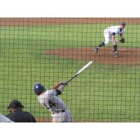 Justin Flores at Bat for the Kelowna Falcons