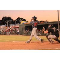 Acadiana Cane Cutters at Bat