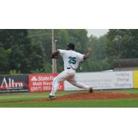 Josh Pigg of the Rochester Honkers